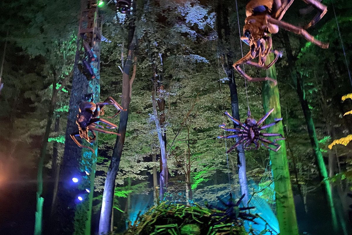 ConcertsMusicVe's tweet photo. Ambientado por un sendero boscoso, criaturas místicas y elementos interactivos, “A Forbidden Forest Experience: Harry Potter” cobra vida gracias a diseñadores teatrales. Venezuela podría recibir esta atracción a comienzos del 2024, con INDUS3 y Oz Shows como organizadores 🪄🌳 https://t.co/JjXsmnpT56