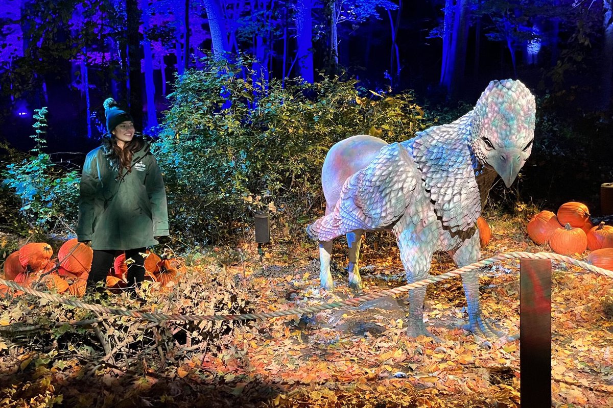 ConcertsMusicVe's tweet photo. Ambientado por un sendero boscoso, criaturas místicas y elementos interactivos, “A Forbidden Forest Experience: Harry Potter” cobra vida gracias a diseñadores teatrales. Venezuela podría recibir esta atracción a comienzos del 2024, con INDUS3 y Oz Shows como organizadores 🪄🌳 https://t.co/JjXsmnpT56