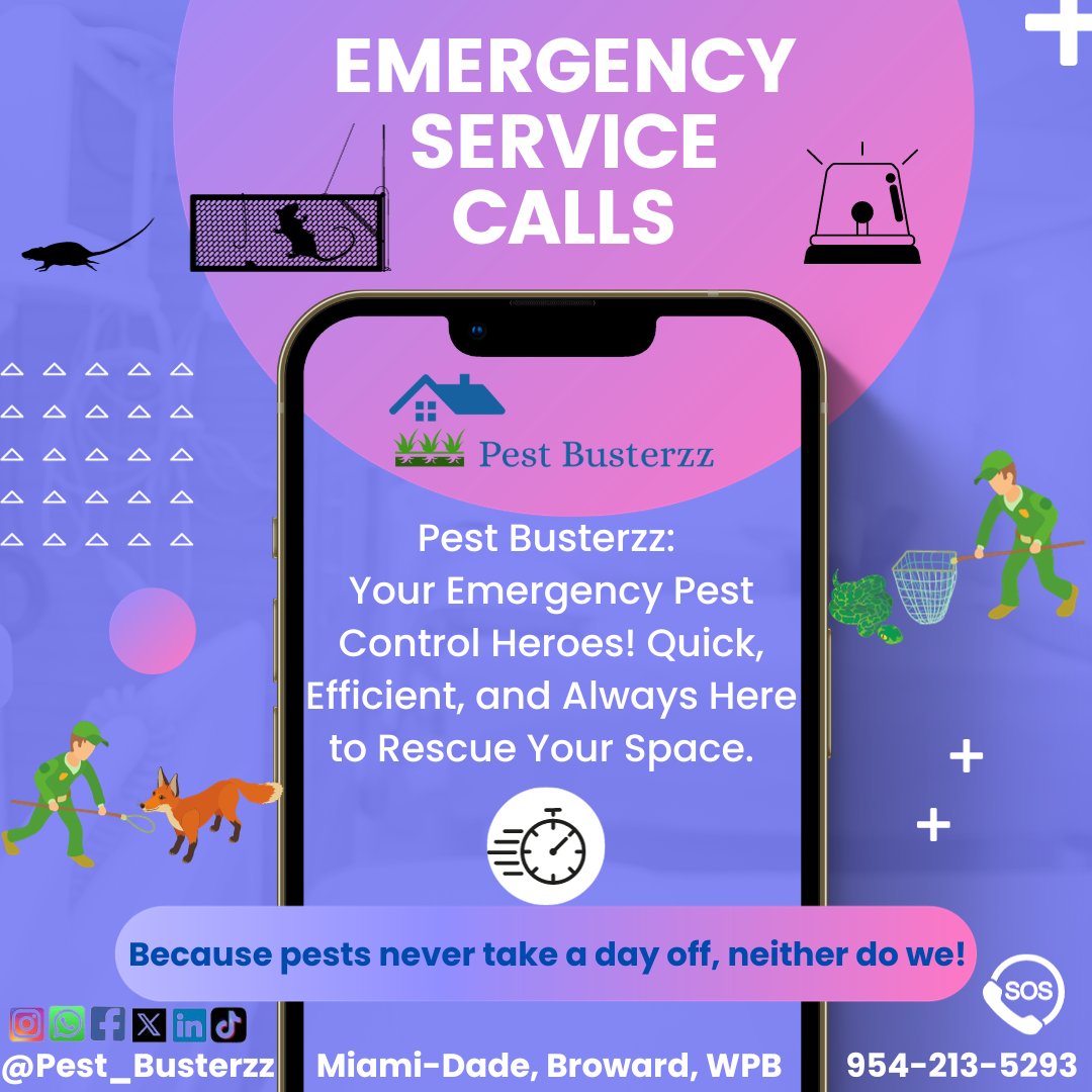 pest_busterzz's tweet image. Unexpected pest invasion? 🐜 Pest Busterzz to the rescue! Our  Emergency Services ensure you&apos;re never alone in the battle against pests. Quick, reliable, and always here for you. Your peace of mind is our top priority. 🚨🏡#EmergencyPestControl #PestBusterzzSolutions