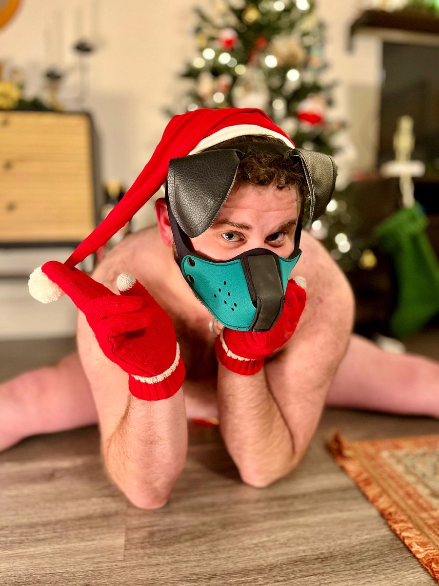 puphoney97's tweet photo. Happy Holidays from Santa Paws!
π
π»πΆπ my outfit for @Howldtla yesterday
#puppyplay #puppyplaycommunity
#pupplay #puppyplayer #pupplayer #pupplaycommunity #puphood #kink #pupgear #humanpup #gaypup #gaypupplay #gaypupplayer #gaypuppy #tummy
#gaypuppyplay #transpuppy #chub https://t.co/WhLnK6Xj42