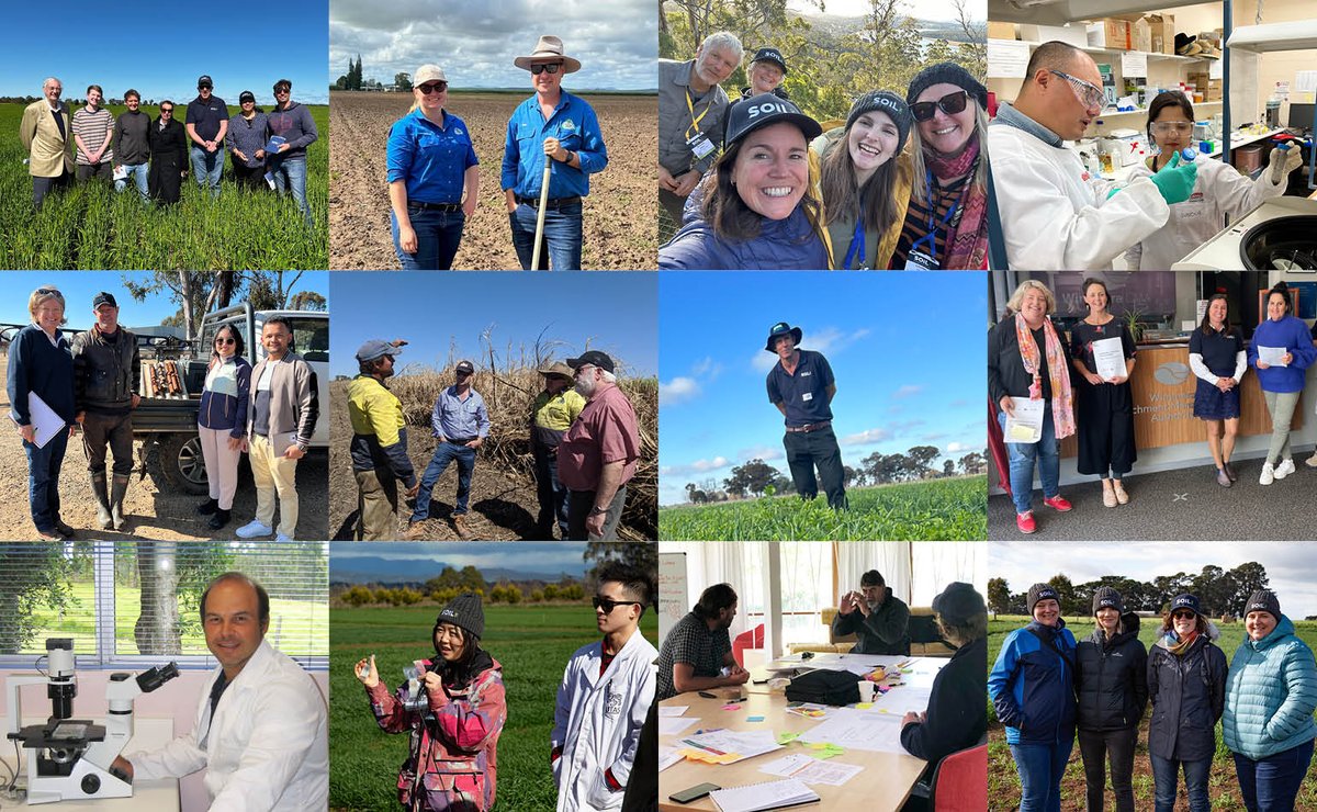 🎉It’s #WorldSoilDay! Today, we celebrate our 39 participant organisations, researchers, PhD students, staff and farmers who share our passion for soil and do their bit to find practical solutions to Australia's complex soil management issues. 

#wsd2023 #soilresearch