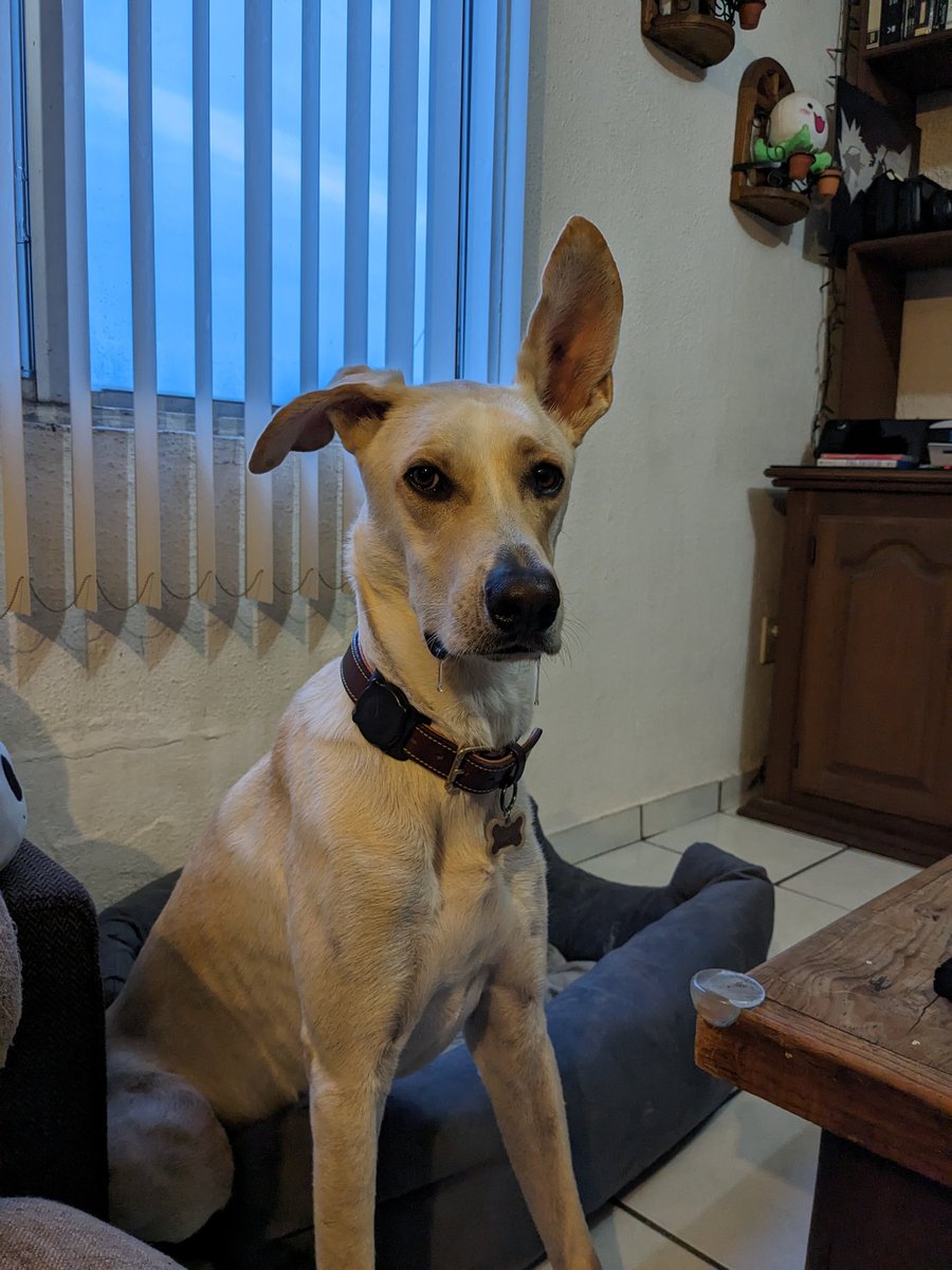 GeekKing tweet media