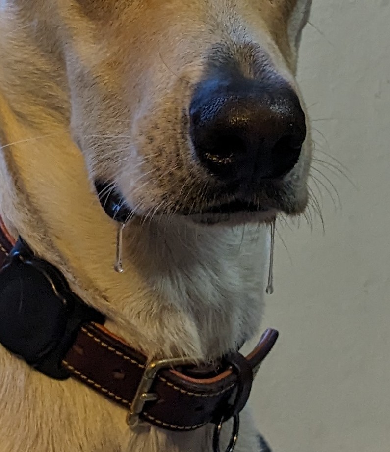 GeekKing tweet media