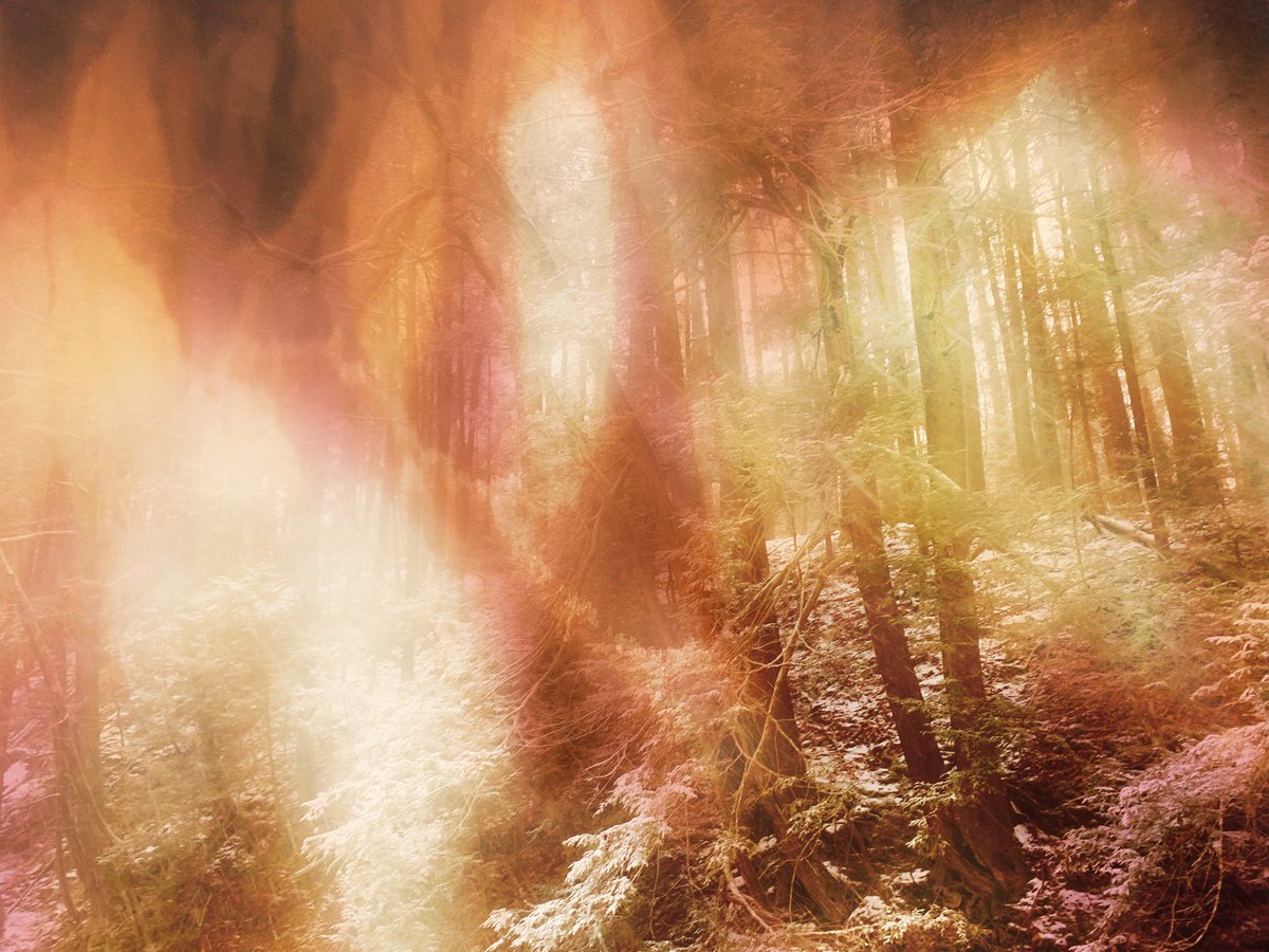 deletedimage's tweet image. this is what i see