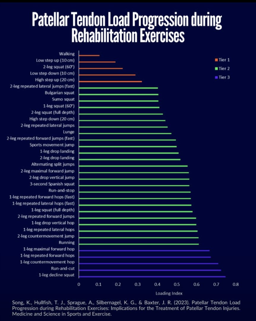 🏋️📊Patellar tendon load progression during rehabilitation exercises