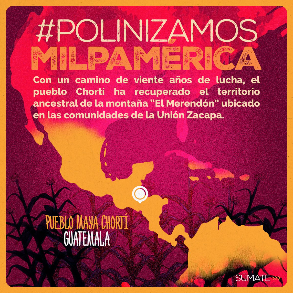 Mediante COMUNDICH, el pueblo Chortí en Guatemala ha escrito una historia de 20 años de organización colectiva🌱
🌽 #MilpaméricaResiste #ResistenciaAncestral #MiTierraMiLucha #CuramosLaFiebre
#PolinizamosMilpamérica
futurosindigenas.org/polinizamos
