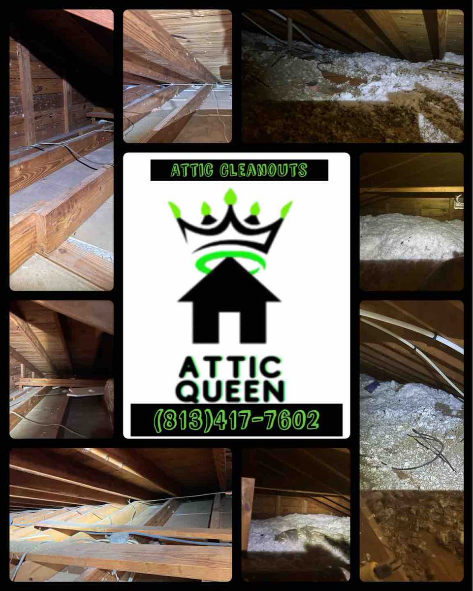 Do you need electrical work done and need your insulation removed? Let us help!

#atticqueen #insulation #insulationremoval #atticcleanout #attic #cleaning #insulationcontractor #indoorairquality #iaq #womanownedbusiness #new #electrical #homeimprovements #homerenovation
