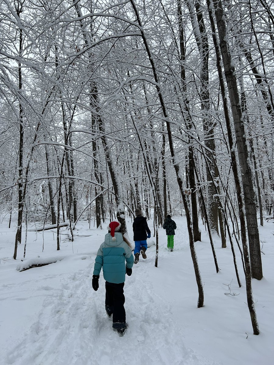 Forest on Friday with 5/6A ➡️ forest with 6A today