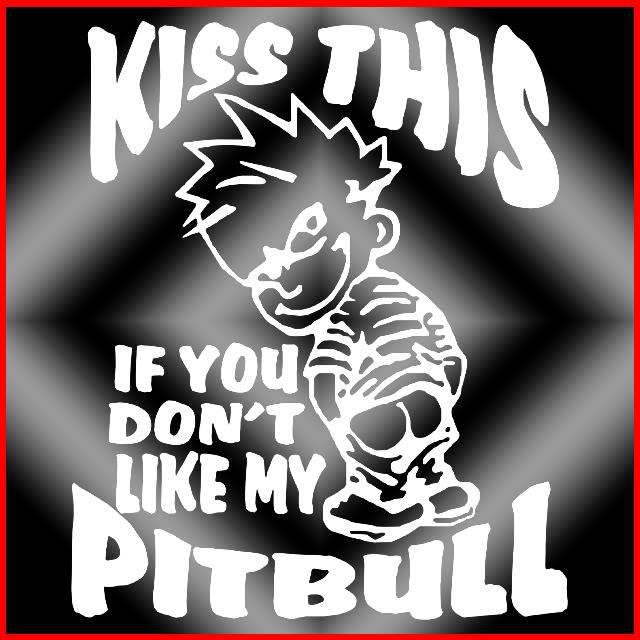 Loki's message to the Pitbull haters 

#dogsoftwitter #Pitbull #americanpitbullterrier #dontbullymybreed #pitbullmix #ProudPittieParent #pitbullstrong #dogs #doglovers #animals #pets #puppies #animalwelfare #animalcruelty #animalabuse #animalneglect