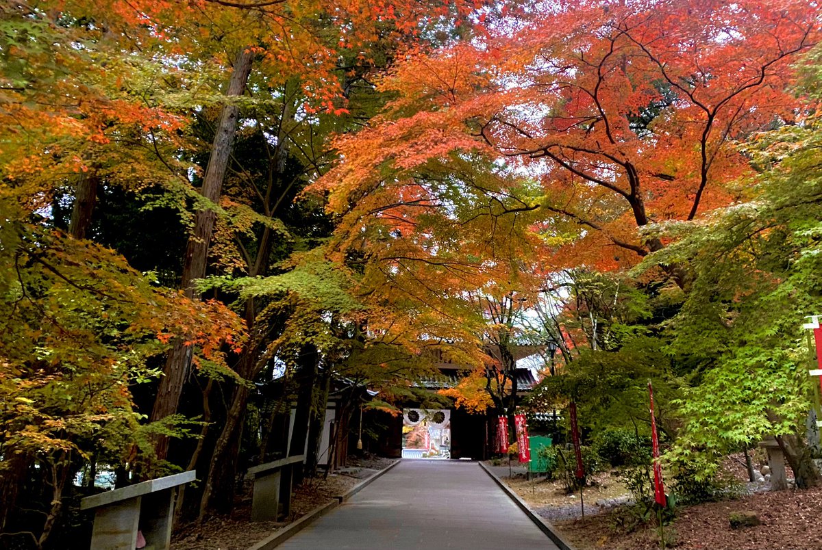 薬師堂の気温6℃

三重塔周辺…名残
滝堂周辺…黄色
宝生殿周辺…見頃
書院北庭…見頃
参道…見頃
栄西禅師前…見頃
放生池周辺…見頃
山門前…名残
駐車場…見頃