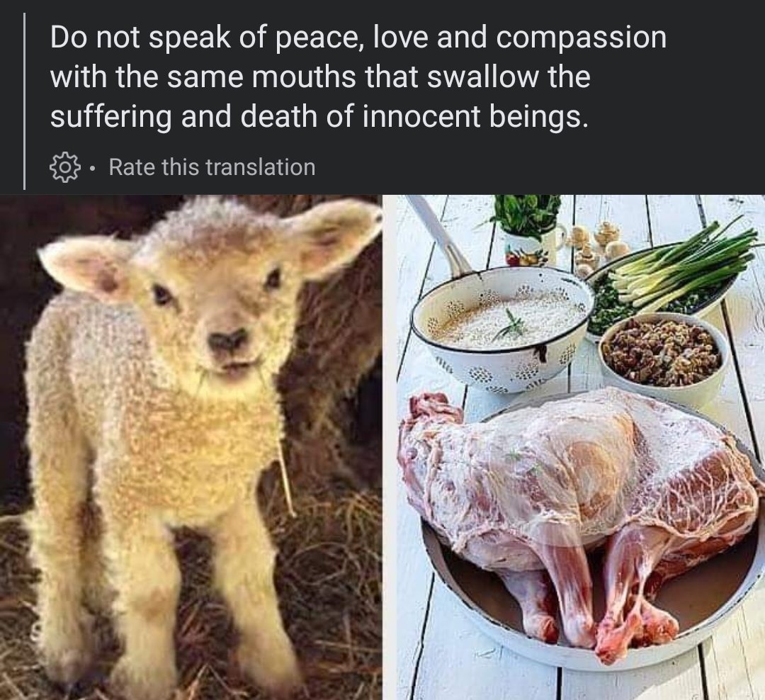 Do not speak of love, compassion and peace when you have an abused dead animal on your plate. Go vegan. Help in my bio #dairy #MILK #MilkLove #pregnancy #mother #abused