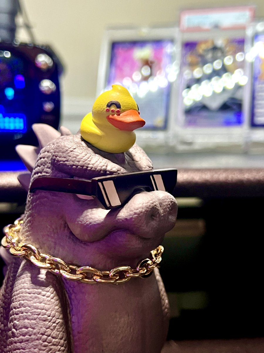 DachshundWizard 🧙‍♂️ tweet media