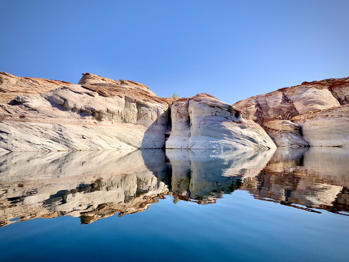 We Are Water SW tweet media