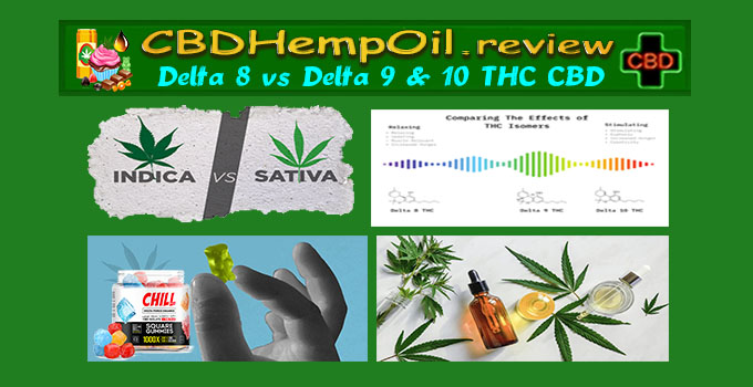 cbdhempoil.review/delta-8-vs-9-v… What is the difference between Delta 8, Delta 9 and Delta 10 THC CBD Oils and Edibles? They are all hemp plant extracts that are more psychoactive than CBD and have health benefits that are more specific than pure #delta8 #delta9 #delta10 #thc #cbd