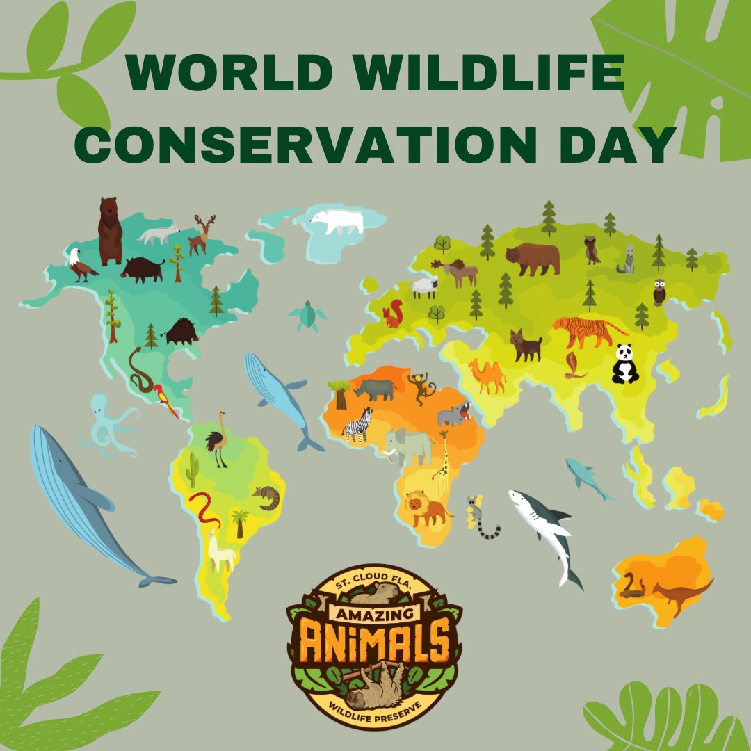 Happy World Wildlife Conservation Day! 🌍🦁 Today, on December 4, we're thrilled to join the global effort to raise awareness and take action in preserving Earth's endangered flora and fauna. Join us in this vital mission! 🌿🦋 #WildlifeConservation #ProtectOurPlanet