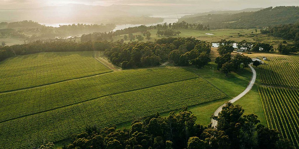 How the #wine industry in #Tasmania has become an economic powerhouse. #winebusiness #economy #growth <a href="/WineTasmania/">Ｗｉｎｅ　Ｔａｓｍａｎｉａ</a> <a href="/BrandTasmania/">Tasmanian</a> #travel #tourism  gourmetontheroad.com/2023/12/tasman…