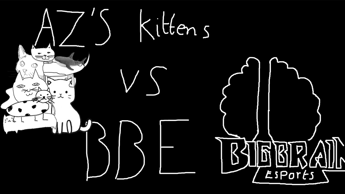 Az's Kittens tweet media