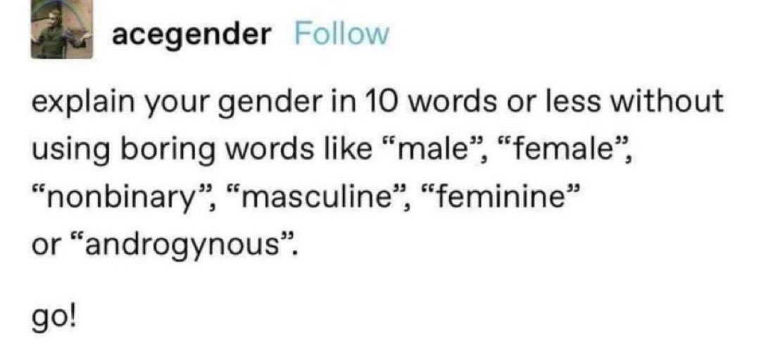 CabbageChap's tweet image. Meow meow meow meow meow meow meow meow meow soft