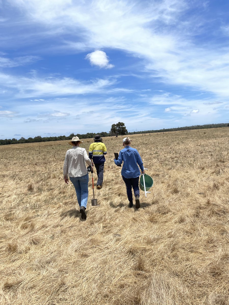 leroy_megan's tweet photo. Works not too bad when you get to spend your days with the bearers of our food. Digging the good dirt in the Peel-Harvey #soilsampling #nutrientmanagement #waestuaries #BindjarebDjilba #SoilWise https://t.co/bZXnIuICJW
