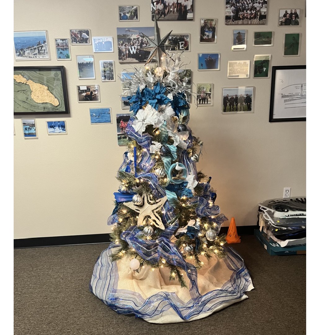 TheWAVESProject's tweet image. Thank you to Carolyn &amp;amp; Ken for coming in to decorate for the Holidays. The Christmas tree and decorations bring a festive spirit to the WAVES Office. #wavesproject