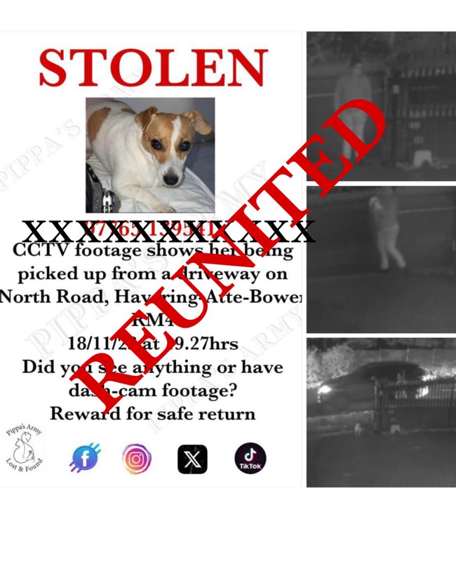 Pippa's Army (@pippasarmy) on Twitter photo LOLA IS SAFE!!!! Thank you to everyone who shared her posts ❤️ you got her home ❤️ <a href="/HaveringDaily/">The Havering Daily</a> <a href="/SAMPAuk_/">Stolen&Missing Pets</a> <a href="/MissingPetsGB/">Missing Pets GB</a> <a href="/HunnyJax/">Stolen Missing Longtimelost 🐾Where Are They All</a> <a href="/missing_n_found/">Missing&Found Worldwide-primarily U.K.&U.S.</a> <a href="/MissingPaw/">The Missing Paw Team Uk</a> <a href="/missing_pets1/">Missing_Pets1</a> <a href="/DogLostUK/">DogLost</a> <a href="/OneStopAllDogs/">ONE STOP - ALL DOGS</a> #havering #Found #safe LOLA IS SAFE!!!! Thank you to everyone who shared her posts ❤️ you got her home ❤️ <a href="/HaveringDaily/">The Havering Daily</a> <a href="/SAMPAuk_/">Stolen&Missing Pets</a> <a href="/MissingPetsGB/">Missing Pets GB</a> <a href="/HunnyJax/">Stolen Missing Longtimelost 🐾Where Are They All</a> <a href="/missing_n_found/">Missing&Found Worldwide-primarily U.K.&U.S.</a> <a href="/MissingPaw/">The Missing Paw Team Uk</a> <a href="/missing_pets1/">Missing_Pets1</a> <a href="/DogLostUK/">DogLost</a> <a href="/OneStopAllDogs/">ONE STOP - ALL DOGS</a> #havering #Found #safe