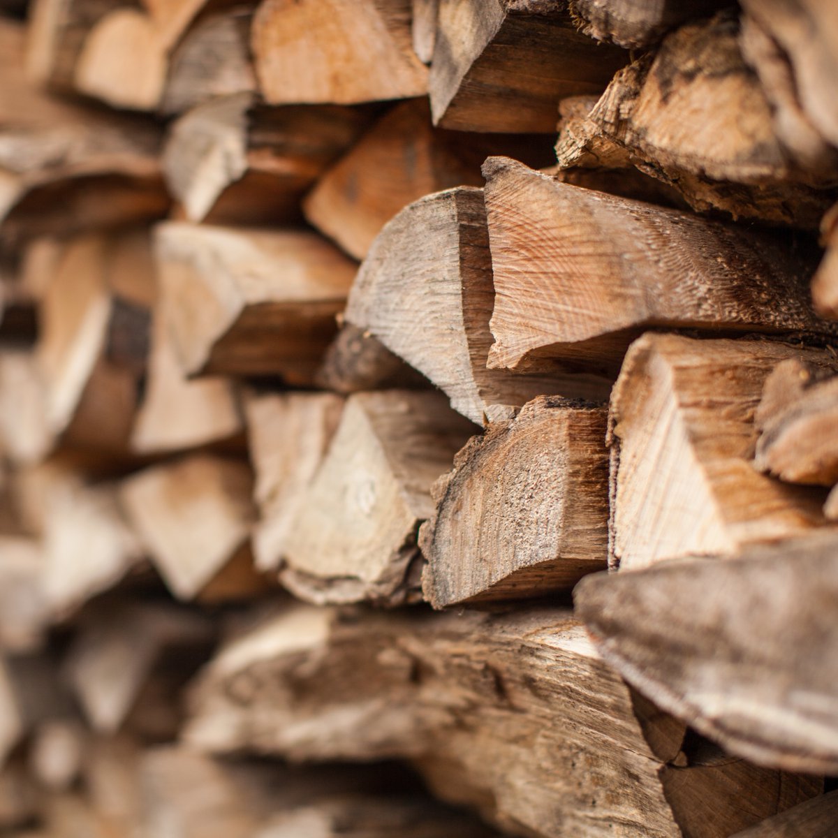 Cooler weather is on the way. How about some seasoned #firewood? We've got plenty of it. Stop by the Garden Center and purchase by the piece or the tote! Remember to support your local business' this holiday season. loom.ly/JUoMhPY Come see us! #elmgrens #firewood