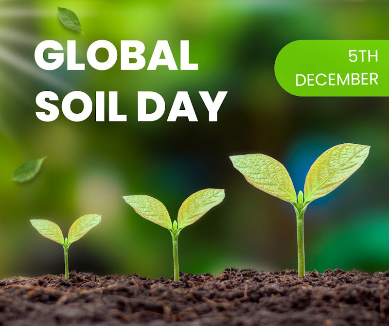 🍽️ Celebrate #GlobalSoilDay by giving a nod to farmers' commitment to healthy soil. Fertilisers are key, and Fertcare's training programs are instrumental in ensuring responsible usage for a sustainable food supply. 🌾💙 #FertcareSolutions #SoilHealth