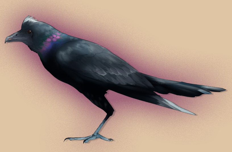 andata express tweet media