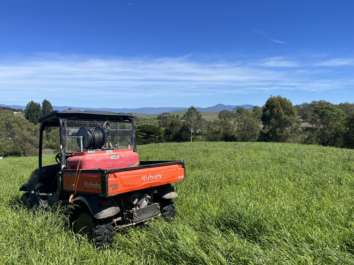 Bega Valley from zero to Hero in one week…
Need to make silage now…after 325mm on this property 
#ausdairy #silage #grasstomilk #begacheese