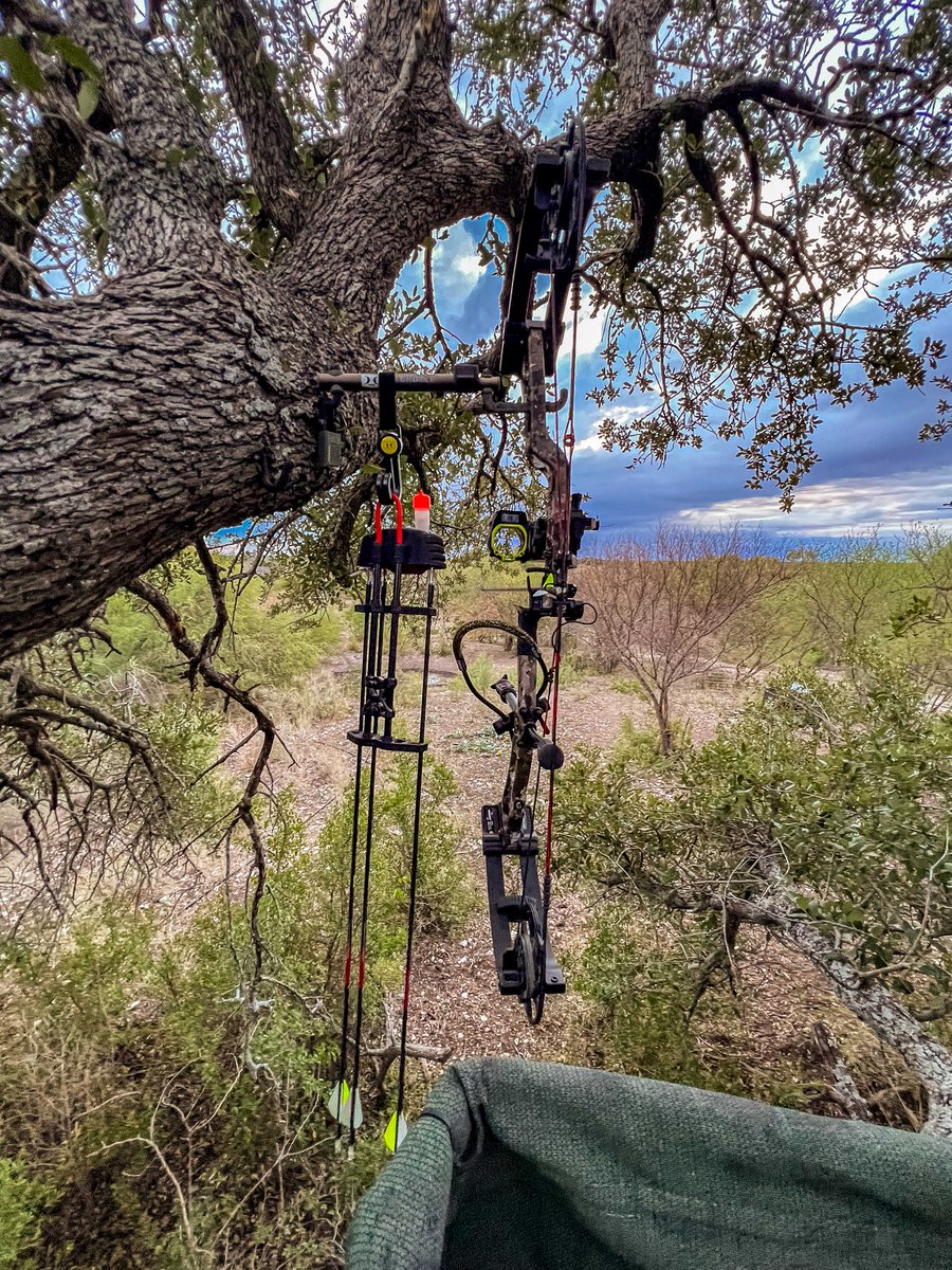 Bow Hangers like these sure come in handy...

#huntfromabove #bowhunting #archery #deerhunting #whitetail #blackoutarchery #garminfishhunt