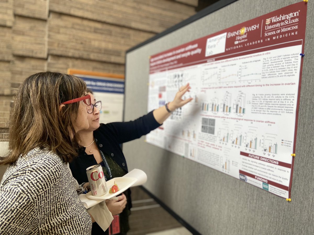 First poster presentation of the Amargant i Riera Lab! Excited about all the feedback we received and potential new collaborations. Great job by @sarapietroforte - already presenting new data just a few weeks after joining the lab! @WashU_OBGYN @WashUengineers