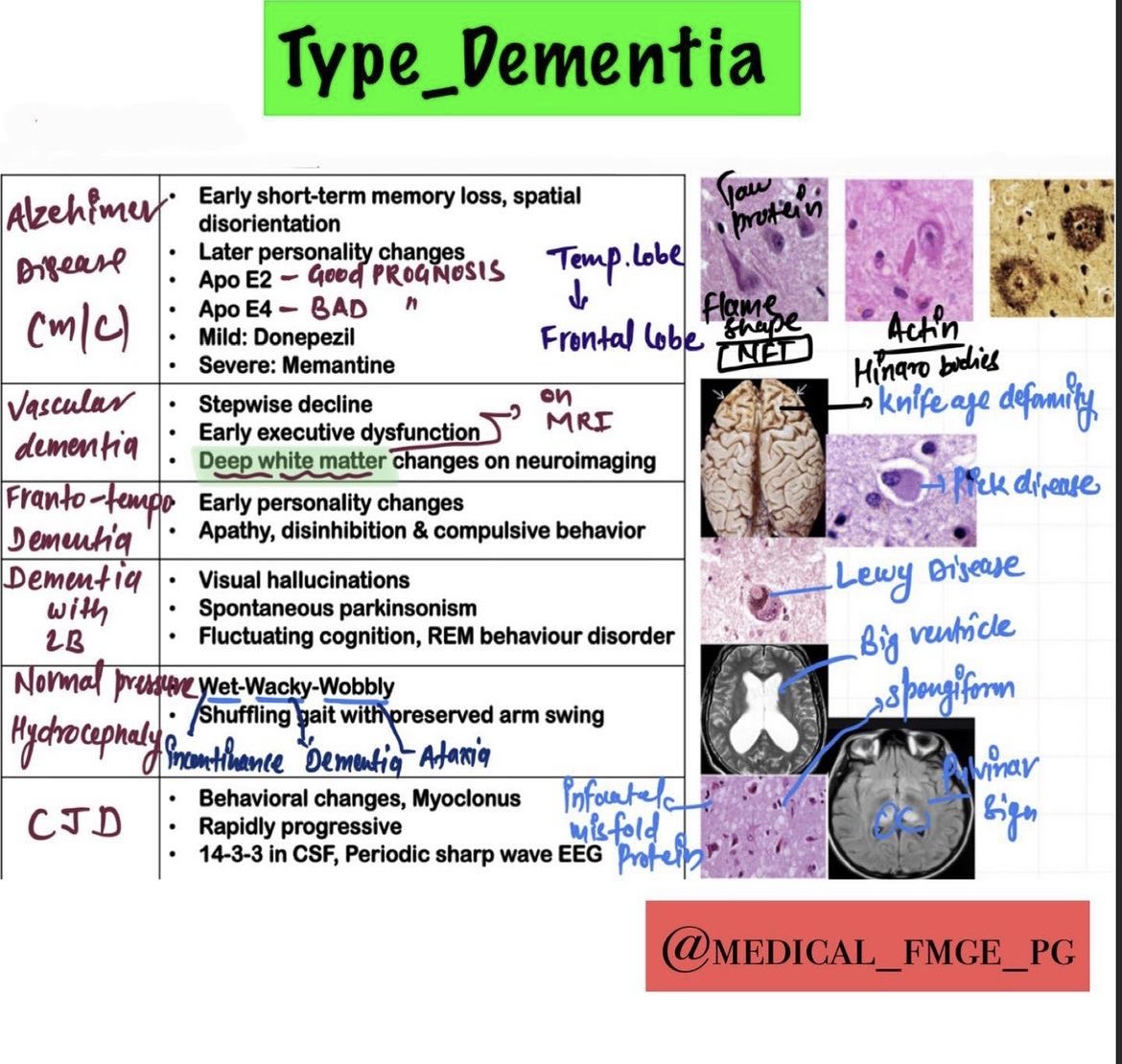 Dementia primer from Medical fmge pg