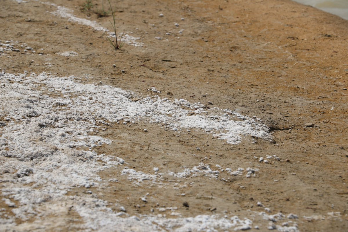 In Pakistan Soil erosion & salinity impacts 20% & 12.9% of soil respectively. Losing around 1 billion tons of fertile soil each year. Australian scientists in partnership with local teams making efforts to protect soils. @ACIARAustralia @AusHCPak @F4CAP #worldsoilday