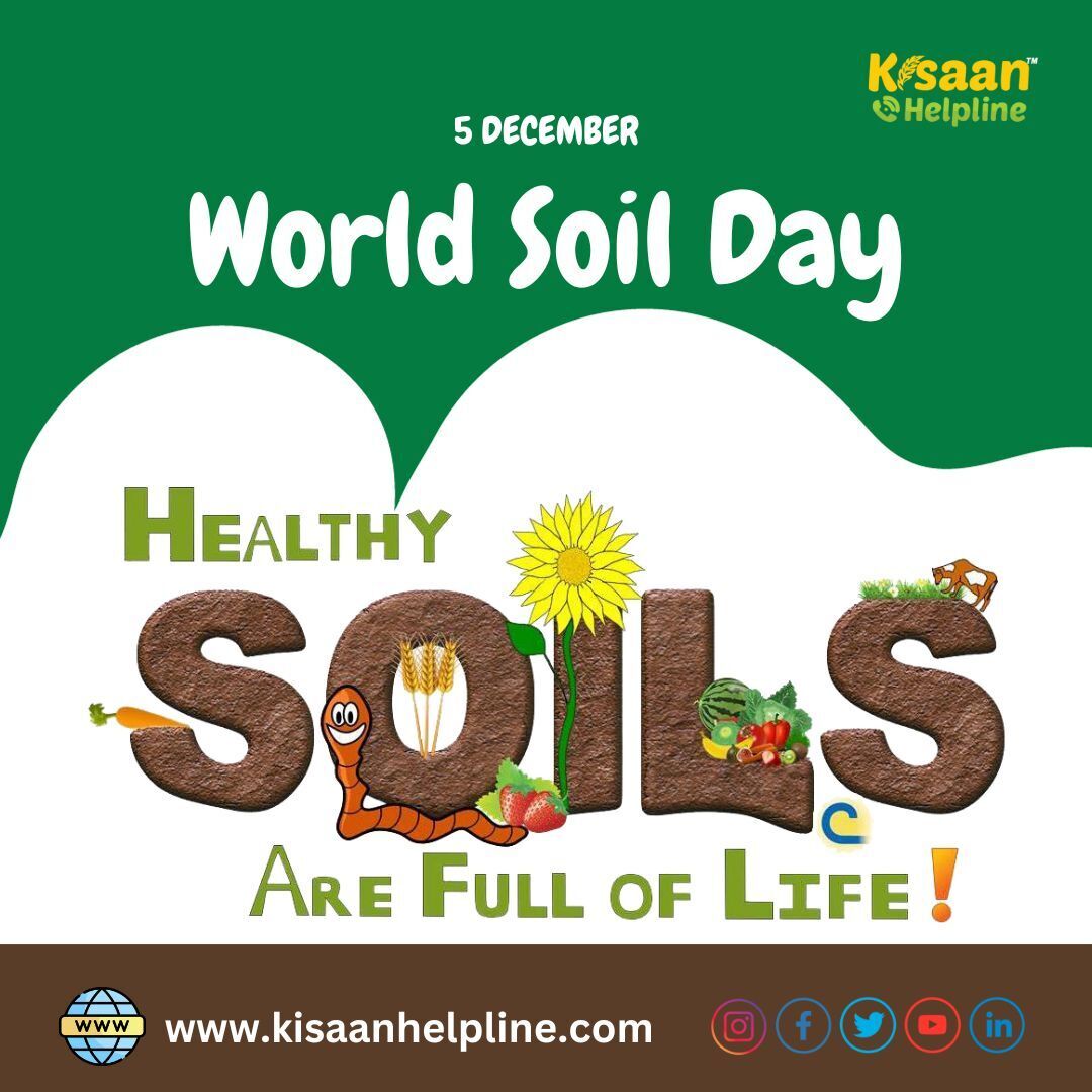 विश्व मृदा दिवस

'मिट्टी और पानी: जीवन का एक स्रोत'

#worldsoilday #soil #soilscience #globalsoilpartnership #soils #soilday #december #gardening #importantdays #nature #organic #organicfarming #savesoil #soilhealth