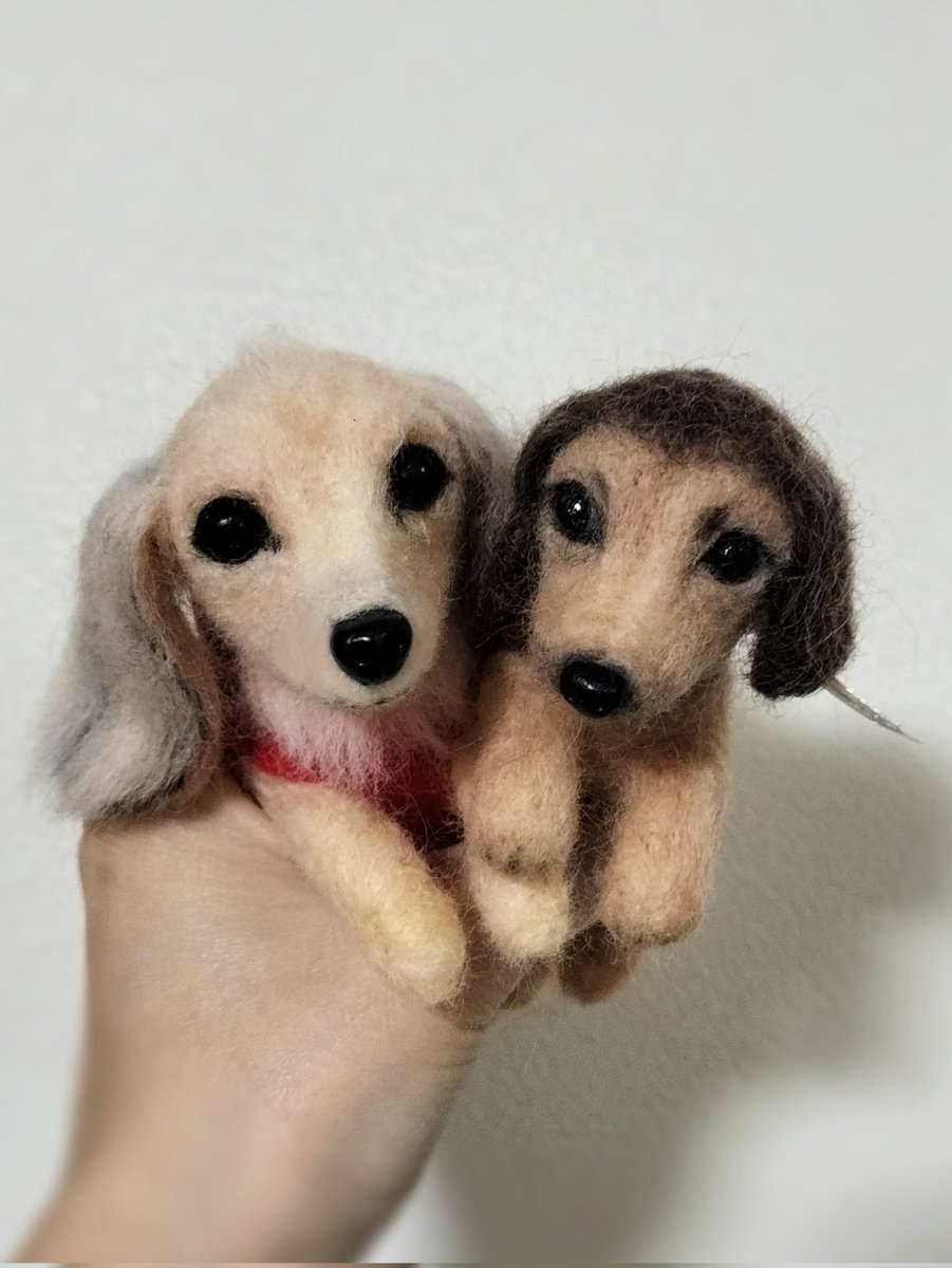 _fluffy_animals's tweet photo. 羊毛フェルトの受注製作はじめました！
minneで販売ページ作ってみました🥰可愛いわんちゃん作りますので是非❤
#犬のいる暮らし #犬のいる生活 #犬好きさんと繋がりたい #ハンドメイド作品 #ハンドメイド好きな方と繋がりたい https://t.co/AC6P7P2A6n