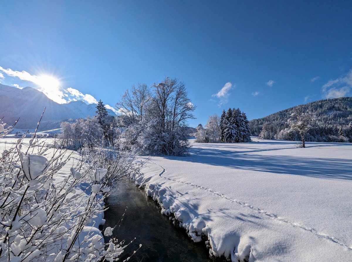 brauchtfreiheit's tweet photo. Guten Morgen und einen schönen Tag euch allen! https://t.co/tN8agfmrOF