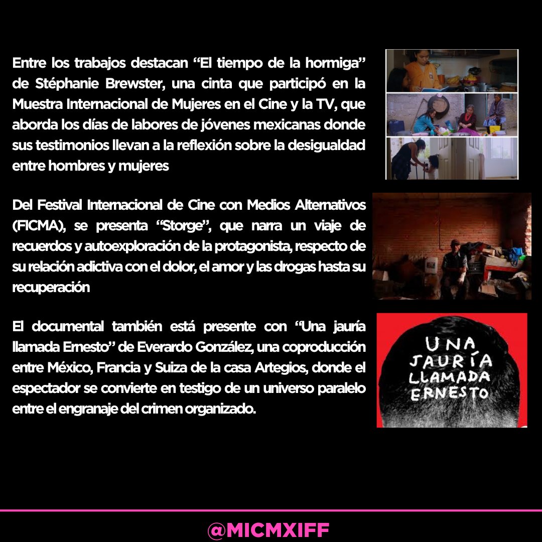 MICMXIFF tweet media