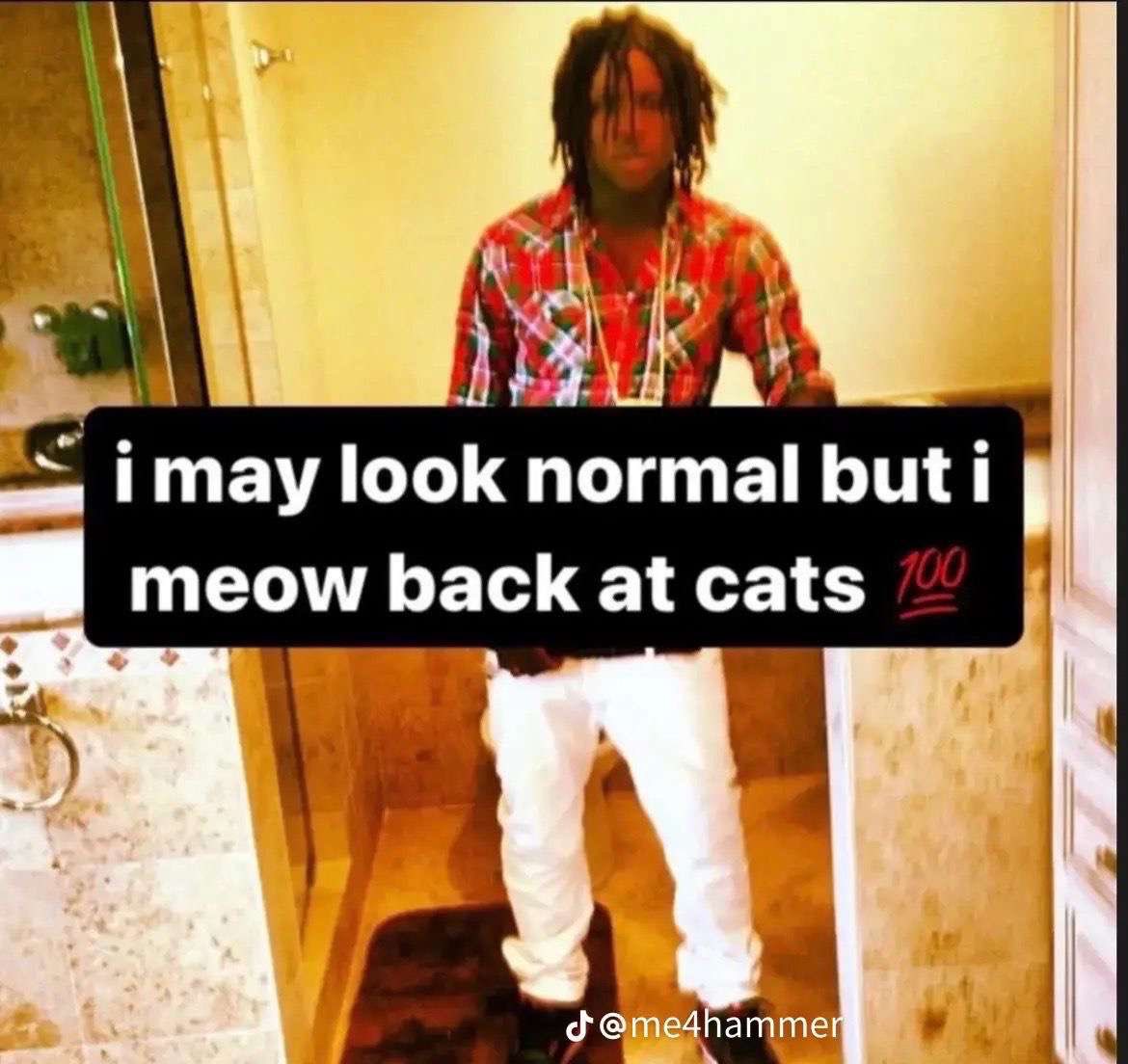 _lfhy's tweet image. 