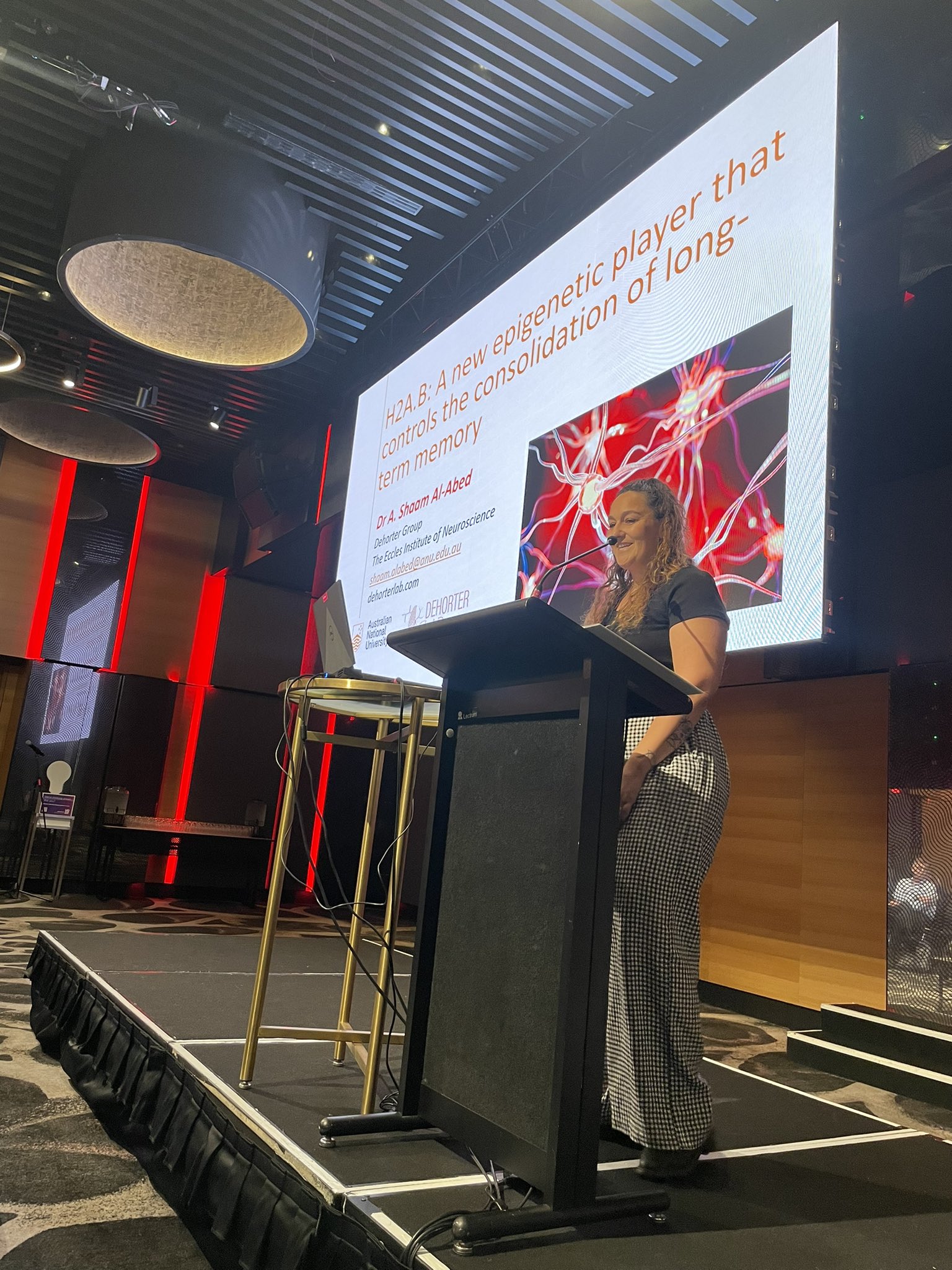 Professor Pankaj Sah - UQ Researchers