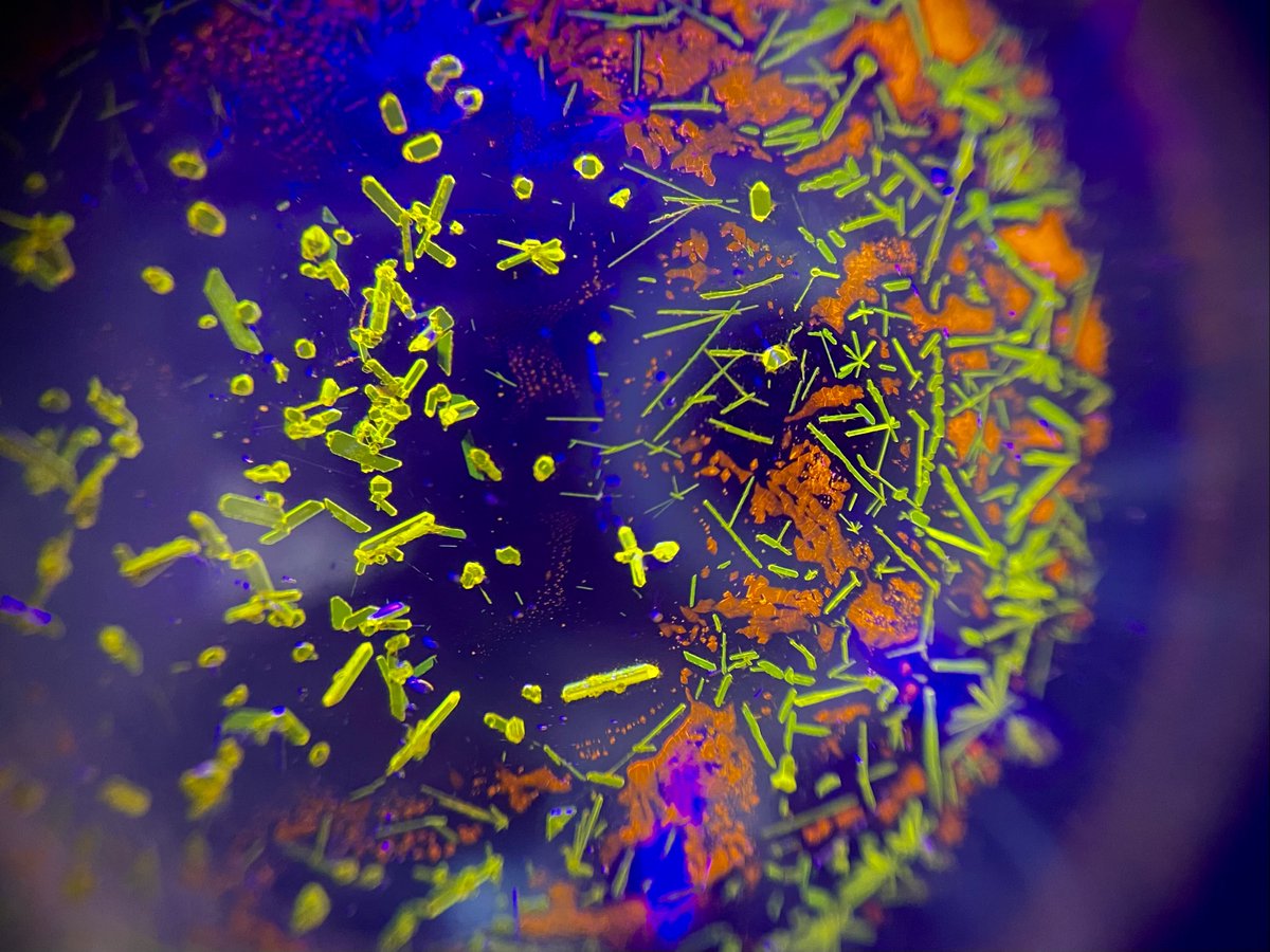 Congratulations to Dr Sarah McGregor on winning the 2023 SciArt competition with her image of luminescent polymorphic crystals.