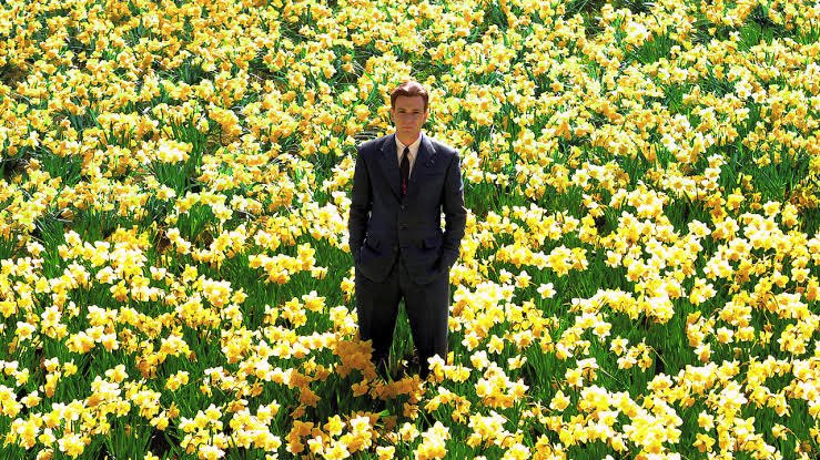 Chungus2302's tweet photo. @TheCinesthetic https://t.co/YcPbwtYQIX