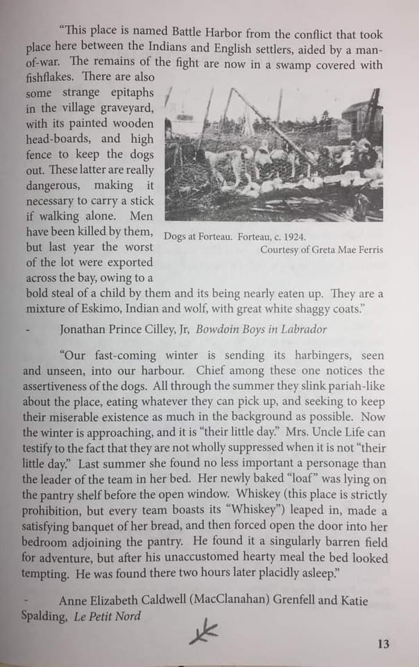 LHusky2023's tweet photo. Them Days Magazine
Vol. 32 (No. 4) 2008
#LabradorHuskies In Historical Accounts
Photos from 1901 
Three years prior these dogs such as these were shipped to #Dawson, the #Yukon and #Alaska for the #GoldRush https://t.co/rbspbn3D8t