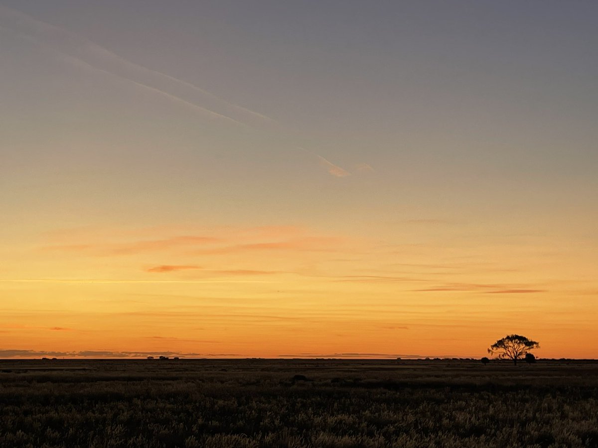 The peaceful stillness of sunset. 

#nswriverineplain #sunset #sunsetphotography