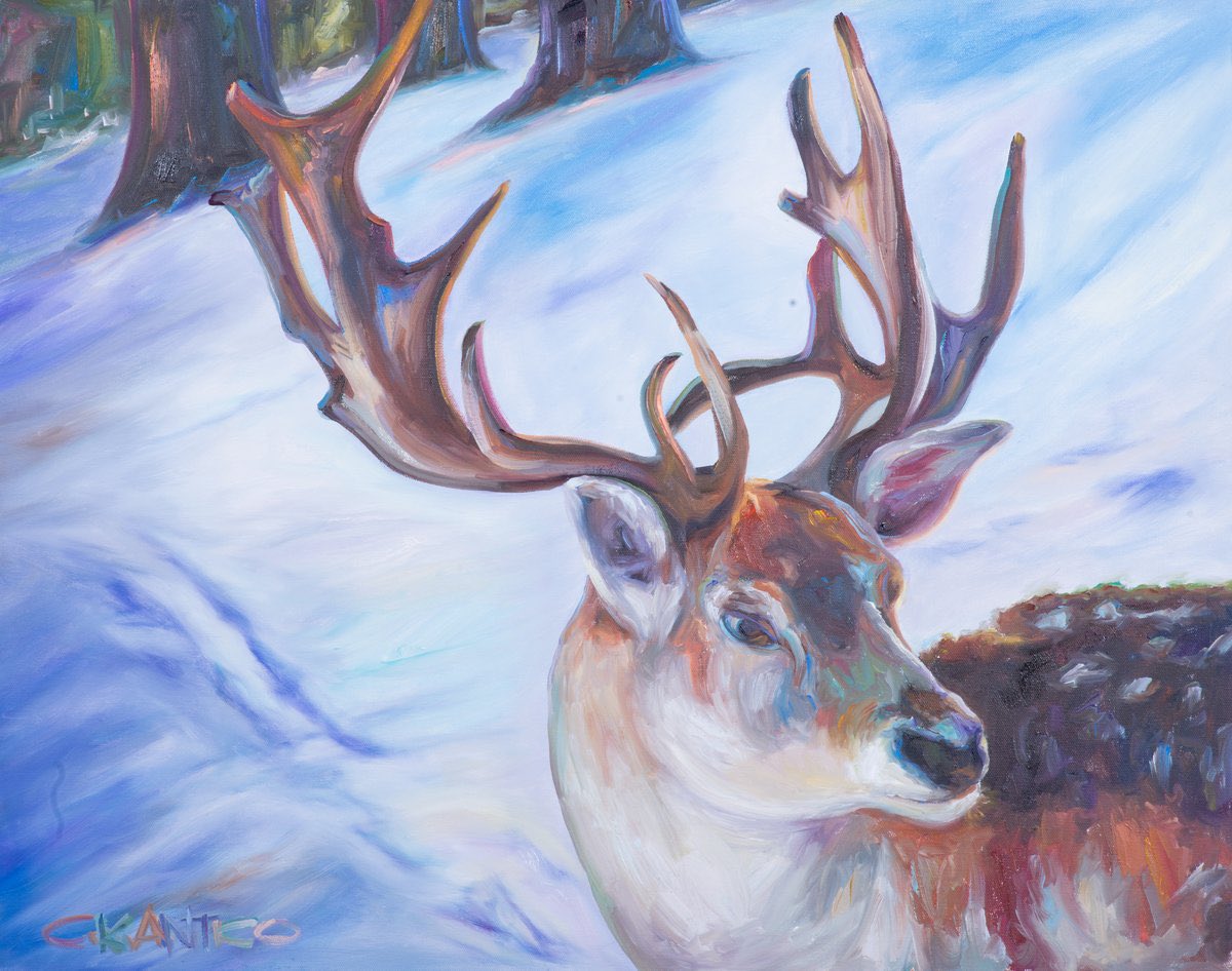 CONCETTA ANTICO - The Color Queen tweet media