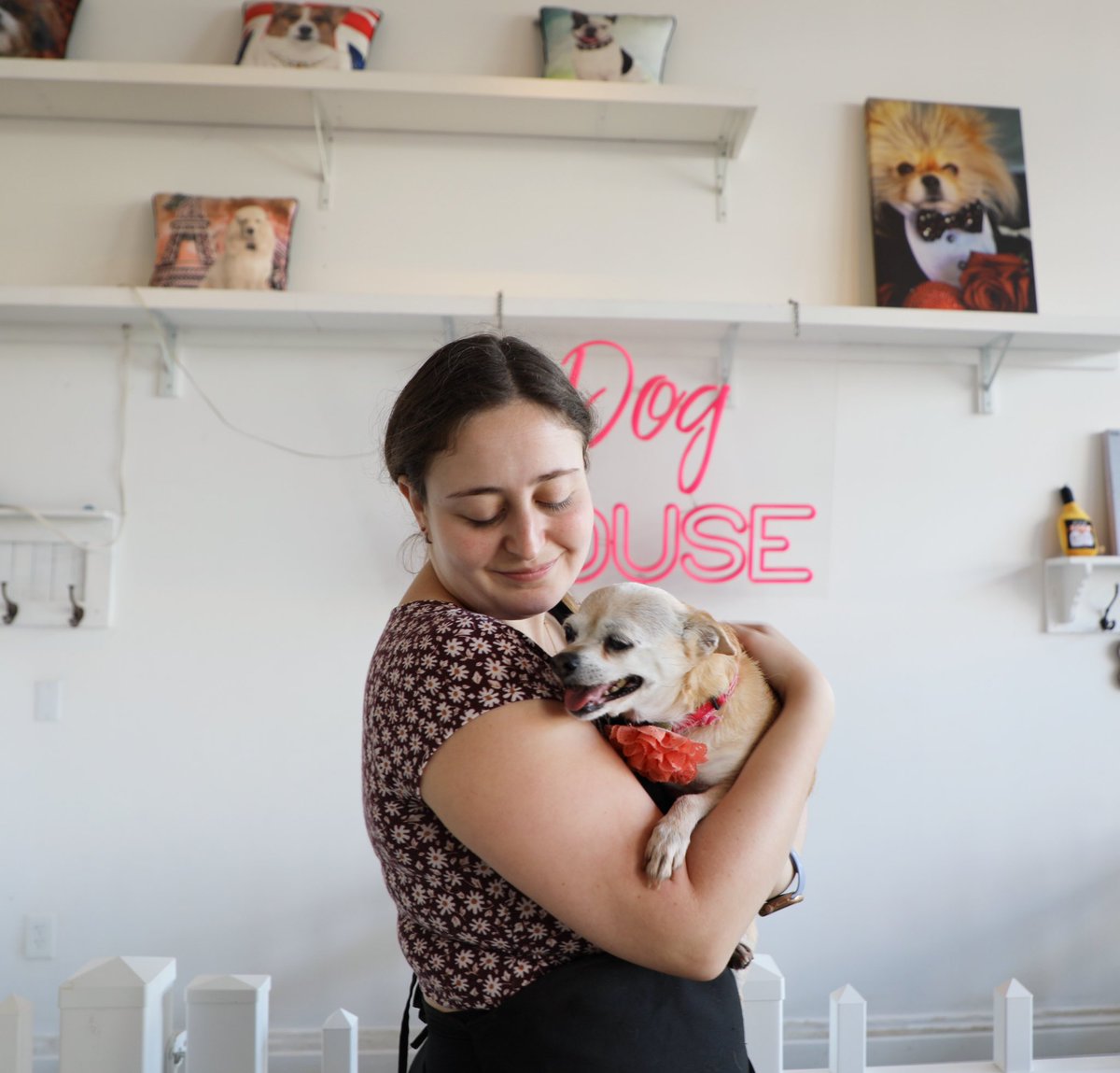 Vanderpump Dogs (@vanderpumpdogs) on Twitter photo Looking to become a Vanderpump Dogs volunteer and give back this holiday season?! To apply to become a volunteer, please send your resume and availability to our team at volunteer@vanderpumpdogs.org! Thank you! 🐶💖✨ Looking to become a Vanderpump Dogs volunteer and give back this holiday season?! To apply to become a volunteer, please send your resume and availability to our team at volunteer@vanderpumpdogs.org! Thank you! 🐶💖✨