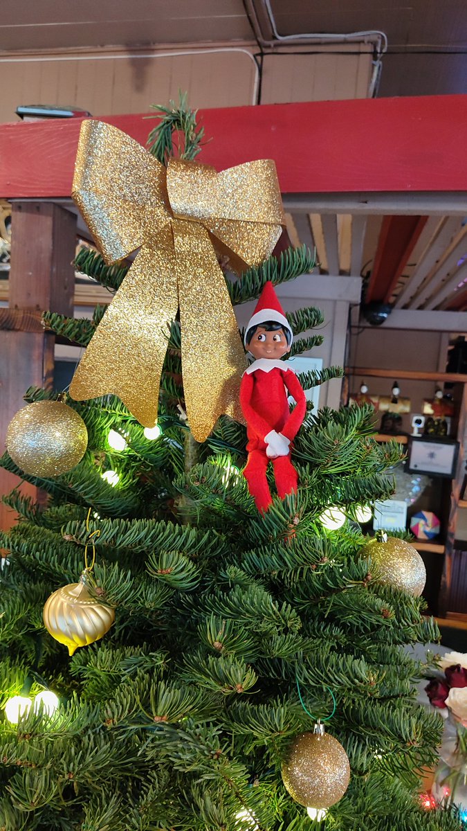 Unleash the Elfie Magic...

✅ Get ready for some fun and festivities at Hana Japan!