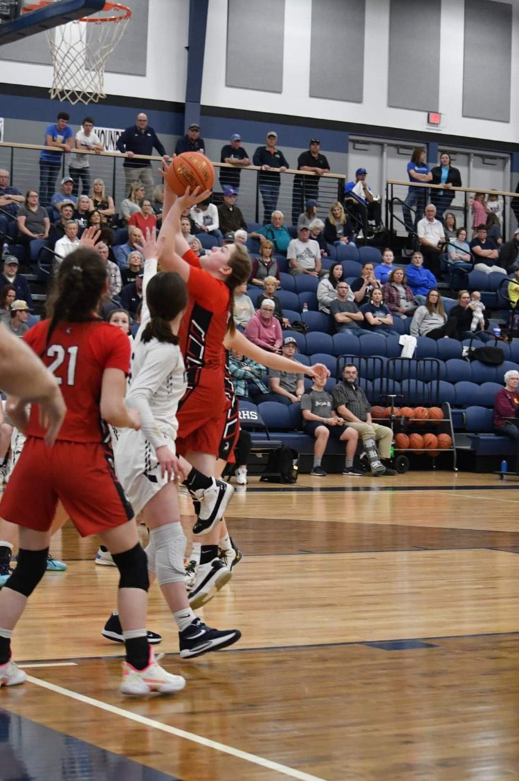 Next Level 17U tweet media