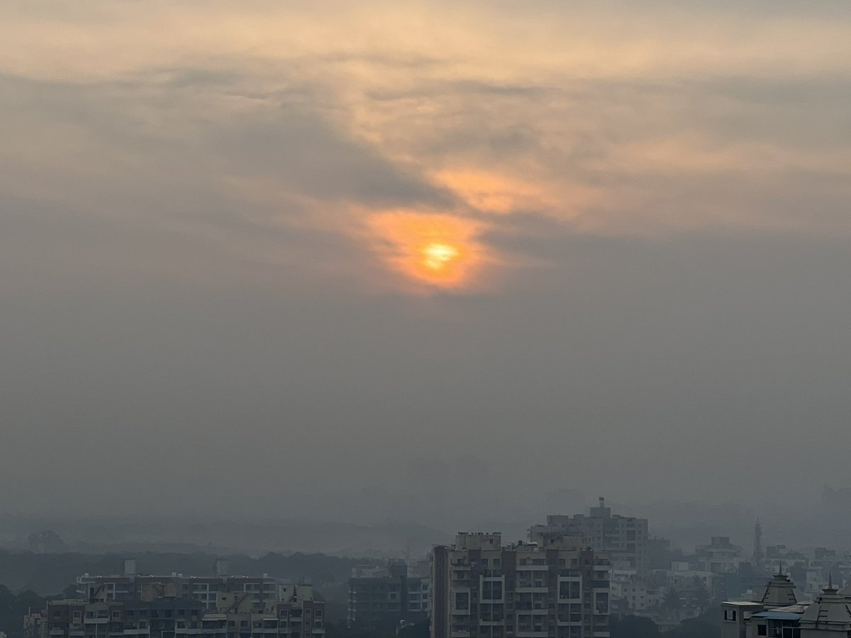 The winter sun looks all groggy and indolent like most of us to get going… and boy it’s just Tuesday!😭