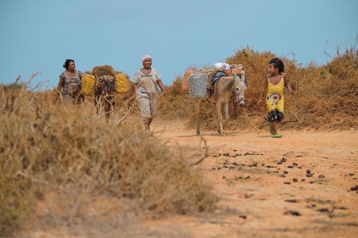 agendapropiaap's tweet photo. 🏜️ | Esta historia retrata el caminar de las mujeres Wayuu por el desierto y la lucha de dos comunidades por preservar el agua que cada día es más escasa, en una región del extremo norte de Colombia 🇨🇴 que resiste ante la crisis climática.

#COP28 
📲https://t.co/SkBwVhJOQw https://t.co/TCR2SHvvkh