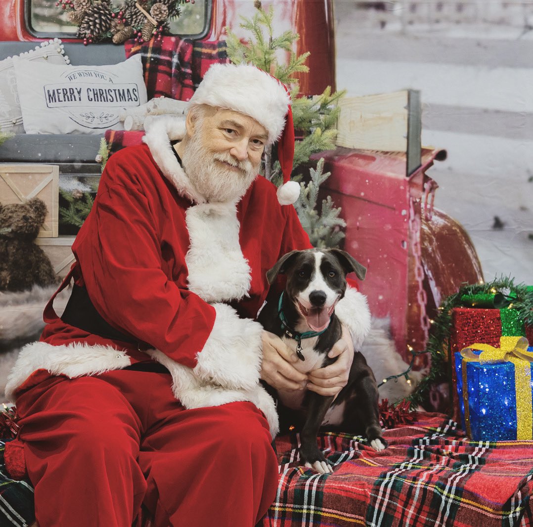 Frankie met Santa! 🥹